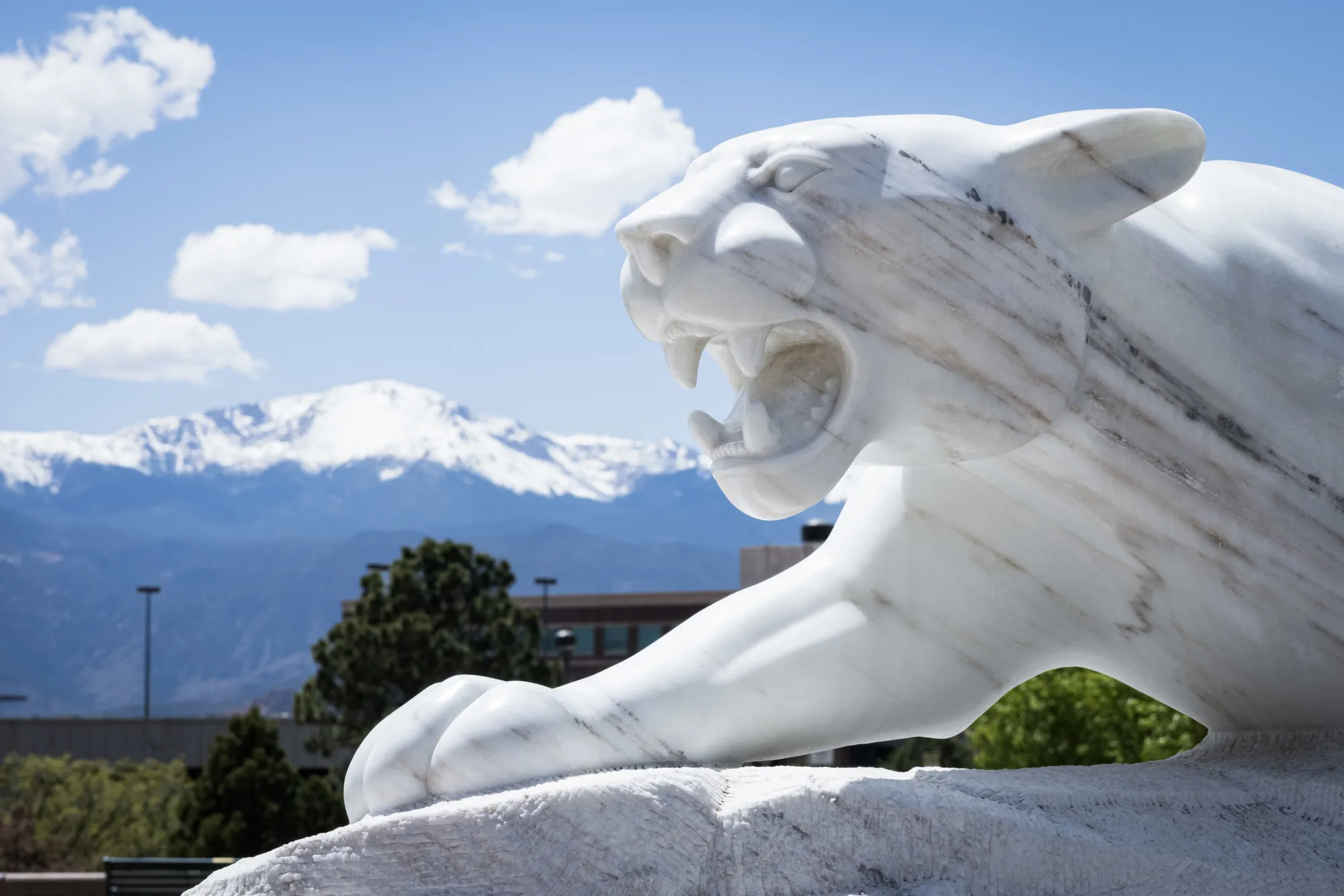 Statue of mountain lion with Pikes Peak in the background 